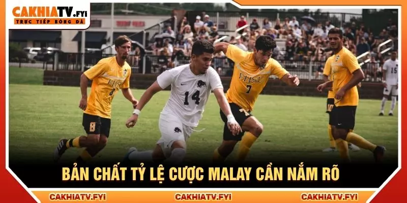 Bản chất tỷ lệ cược malay cần nắm rõ