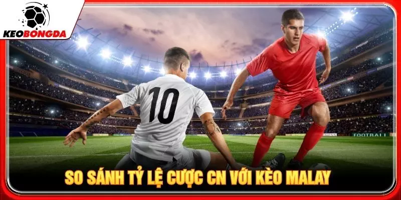So sánh tỷ lệ cược cn với kèo malay