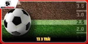 tx 3 trái