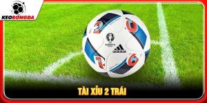 tài xỉu 2 trái